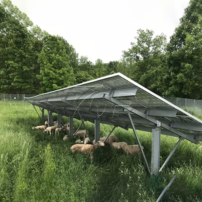 Solarni paneli za kmetijo: pomoč pri trajnostni kmetijski energiji na višjo raven!